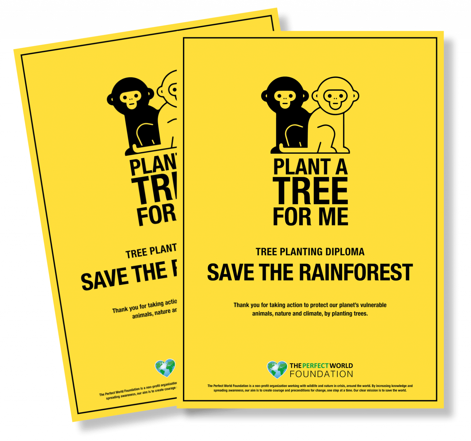 Save the Rainforest – The Perfect World Foundation